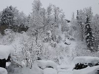 2019-01-25 08.59.39  IICSA   II